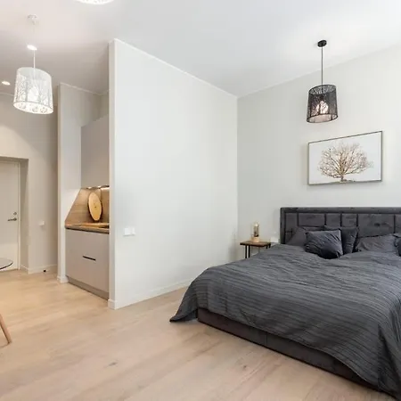 Apartamento Kalnina Street