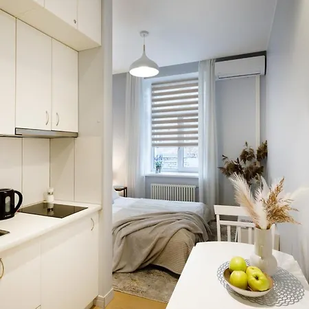 Kalnina Street Apartamento Riga
